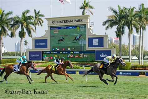 The caves system has. . Gulfstream park picks